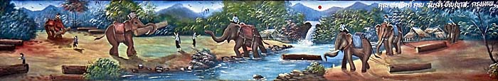 Asienreisender - Working Elephants in North Thailand
